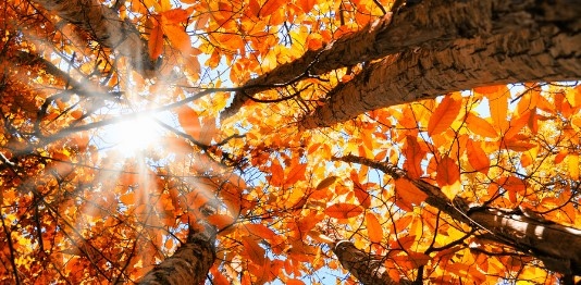 Днес ще бъде предимно слънчево До обяд главно в Горнотракийската