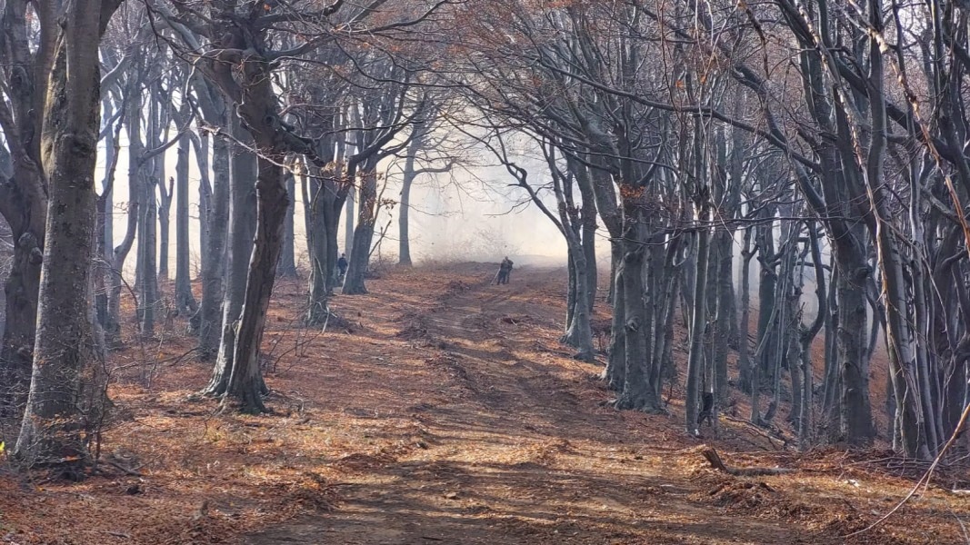 Към момента пожарът в местността Гюмюрджински снежник в община Кирково