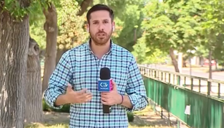 Папагал открадна слушалката на репортер по време на живо включване