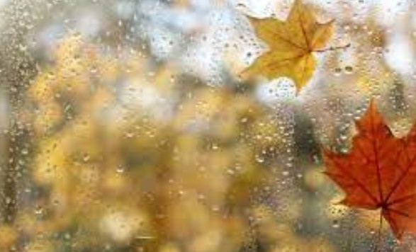 Днес облачността ще продължи да се увеличава и ще е