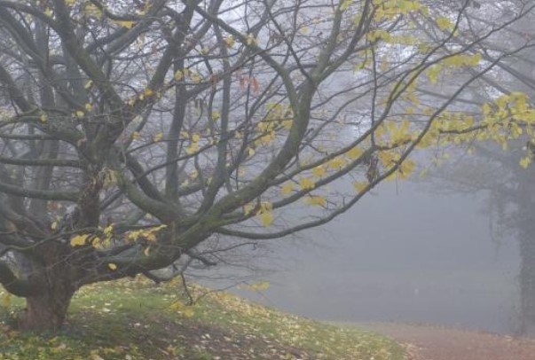 Днес преди обяд над по голямата част от страната ще има