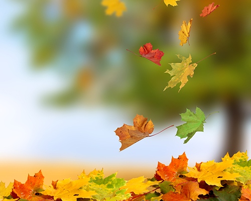 С мъгла или ниска облачност ще започне 15 ноември на