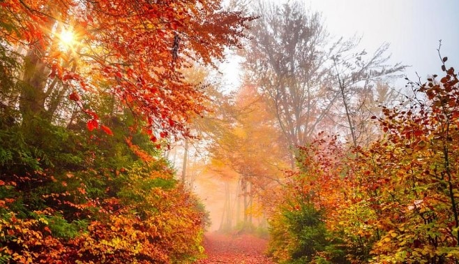 Днес преди обяд на места в равнинната част на страната