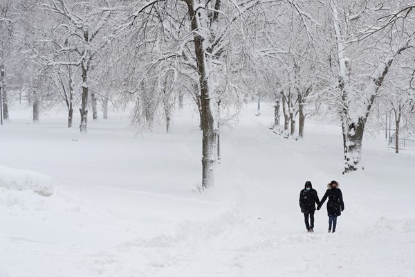 Зимата напомня за себе си снежна буря бушува в