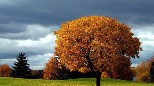 Днес облачността над страната ще е променлива над планинските райони
