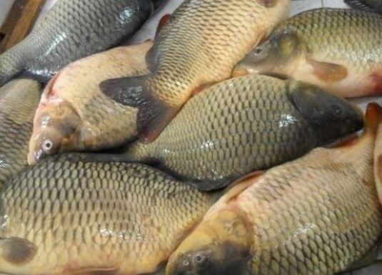 Засилени проверки преди предстоящия празник Никулден започват по магазини и