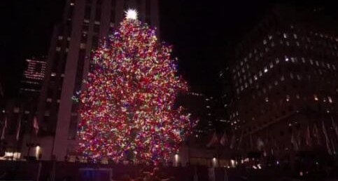 Празнично настроение и в Съединените щати Грейнаха коледните дръвчета пред  в