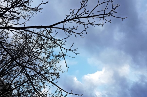 Днес ще е предимно облачно преди обяд на много места