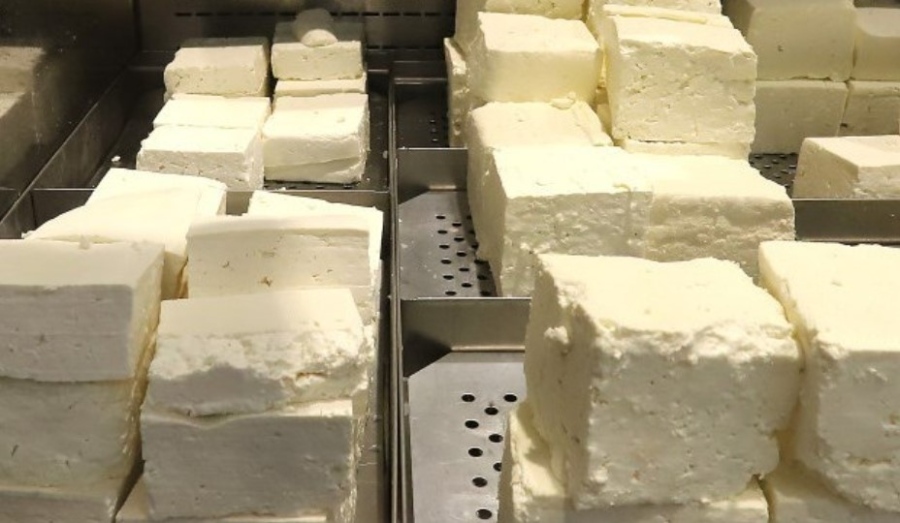 БАБХ откри несъответствия в 13 проби от млечни продукти на пазара