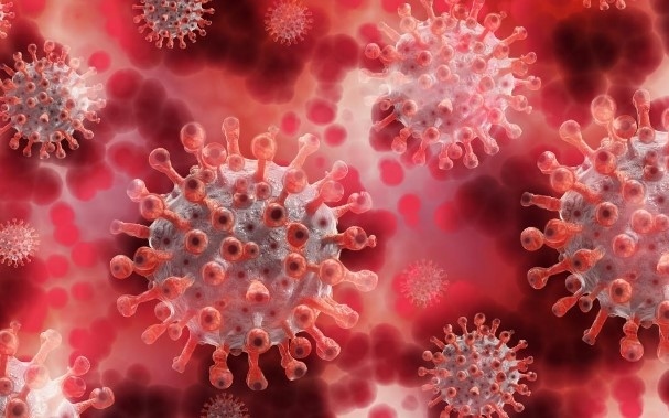 СЗО: 90% от населението е развило имунитет срещу COVID-19