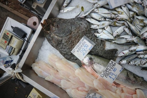Закъснели за никулденската трапеза софиянци купуваха в последния момент риба