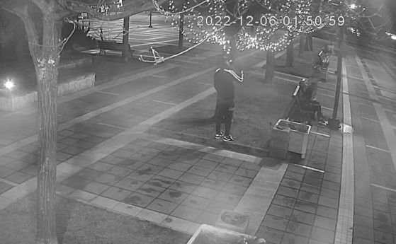 Младежи са опитали да скъсат светещите лампички обвити около едно