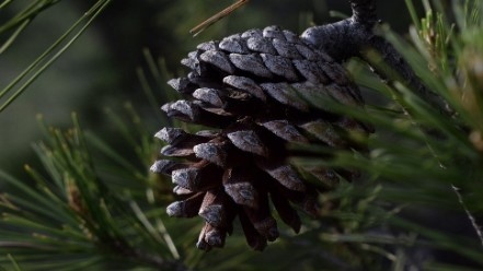 Днес ще преобладава облачно в равнините и мъгливо време На