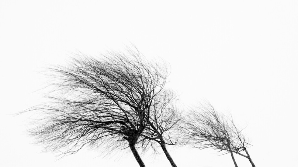 Жълт код за силен вятър е обявен за 10 области