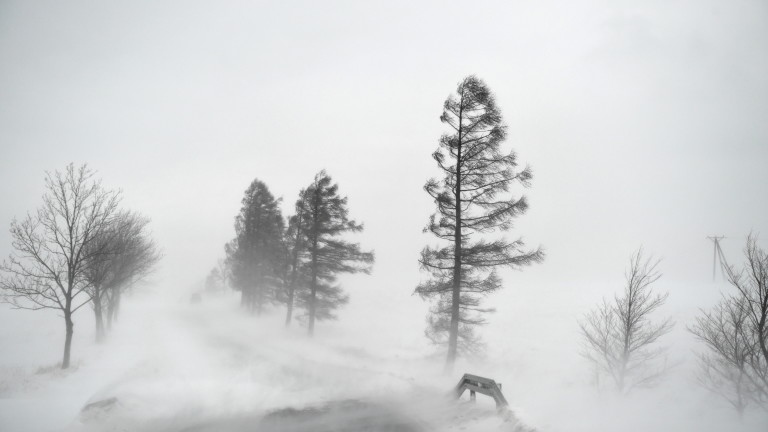 Над 5000 полета бяха отменени в САЩ в петък заради