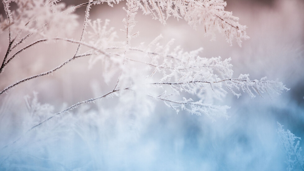 Обилен снеговалеж причини смъртта на 17 човека в Япония над