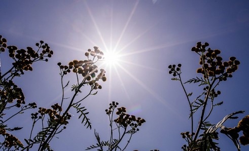 Днес времето отново ще бъде предимно слънчево след обяд и