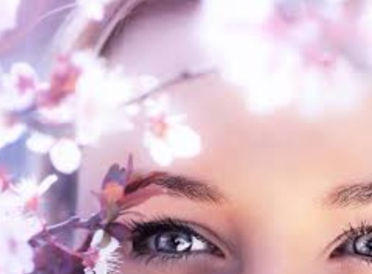 Ако сте голям почитател на драматичните филми може би си