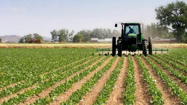 До 31 януари се удължава приемът на проекти по подмярка