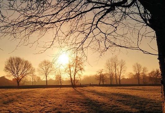 Днес преди обяд в равнинната част на страната ще има