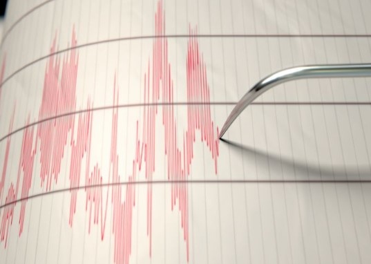 Земетресение с магнитуд от 4,2 по скалата на Рихтер е