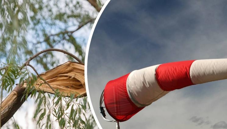 През следващото денонощие ще остане ветровито със силен южен вятър