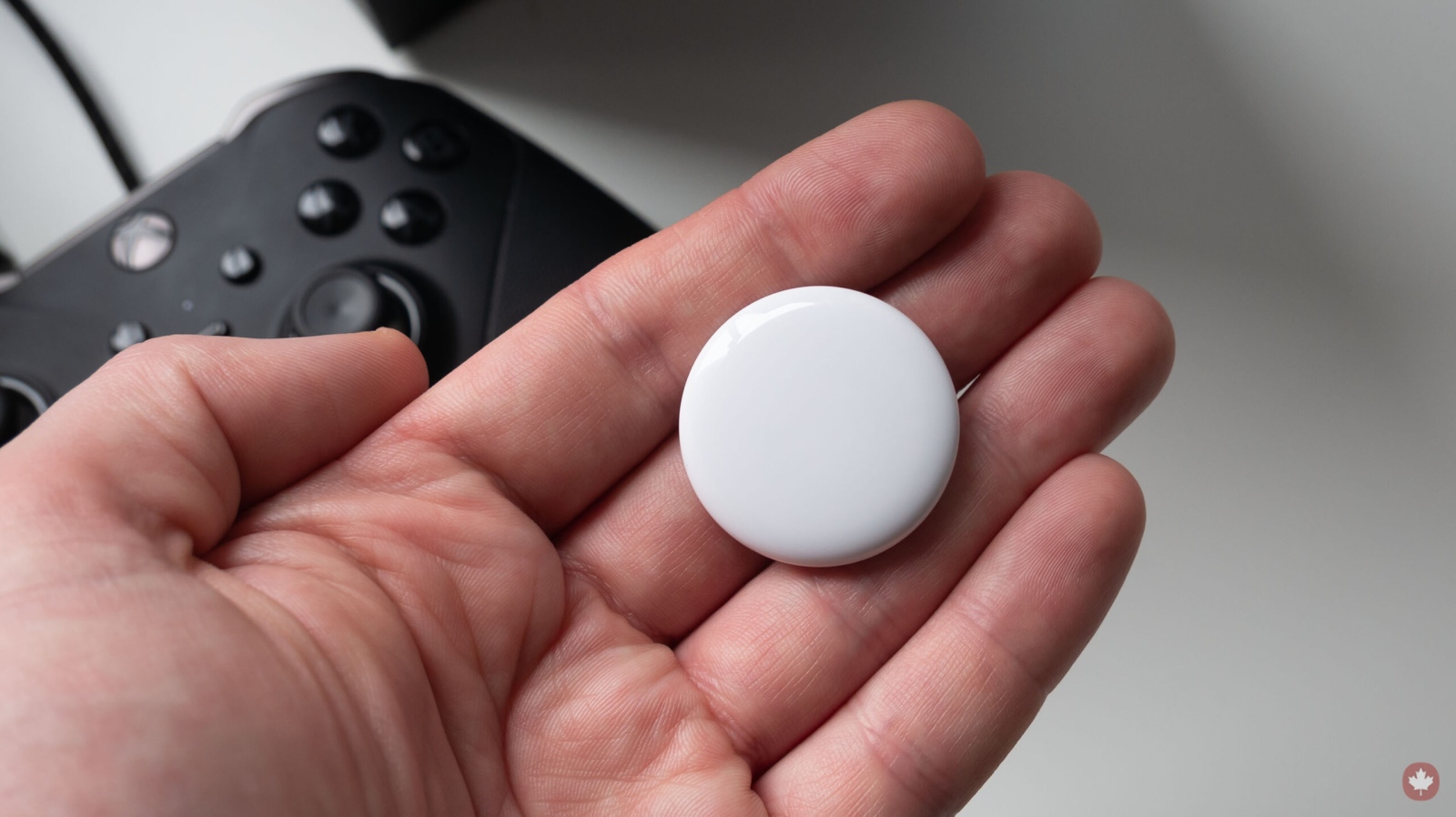 Google планира да представи алтернатива на превърналия се в популярен