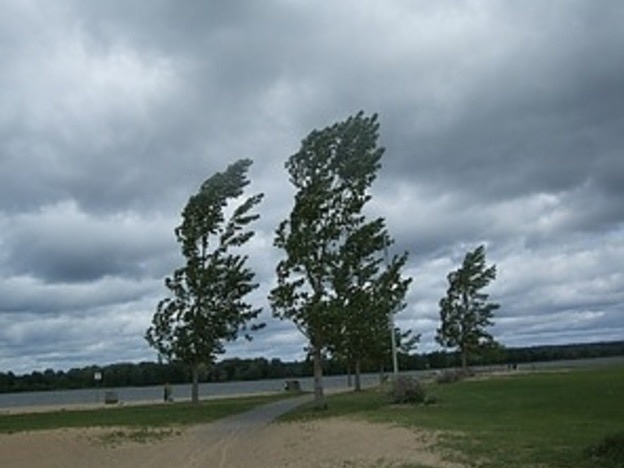 Днес ще остане ветровито със силен южен вятър съобщиха от