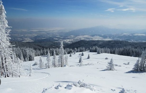 В петък ще вали сняг в Западна България Това заяви