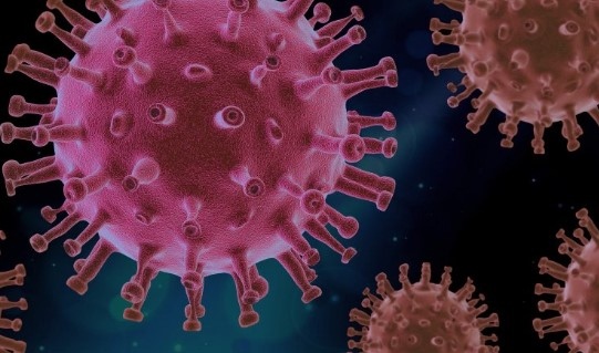 Лабораториите на отдела за молекулярна диагностика на Института за обществено