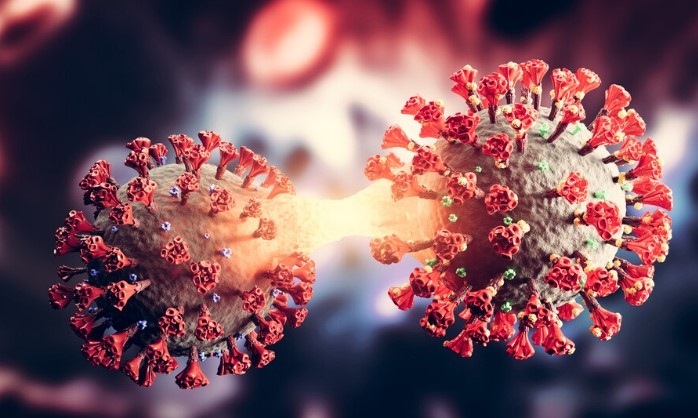 В България е установен за първи път вариант XBB 1 5 на