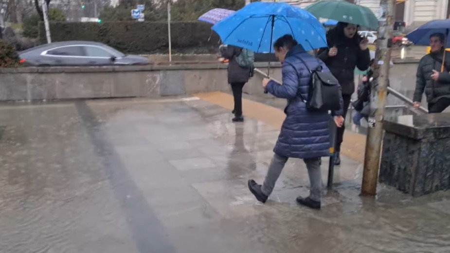 Видео в социалните мрежи скандализира столичани след като десетки хора