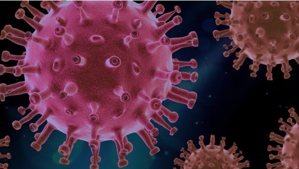 Новите потвърдени случаи на коронавирус у нас за последното денонощие