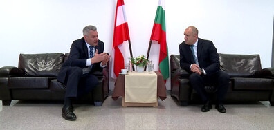 През изминалата година натискът над нашата граница нарасна рязко и