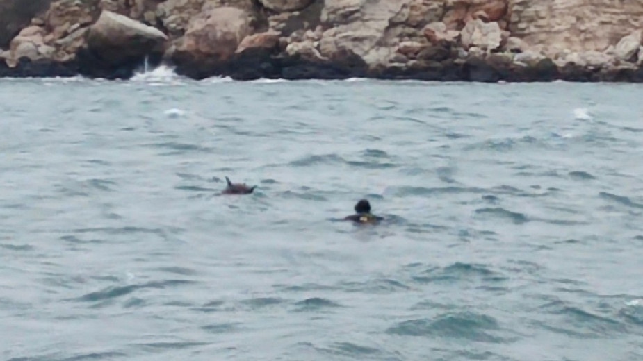 Плаваща мина е била унищожена този следобед на 200 метра