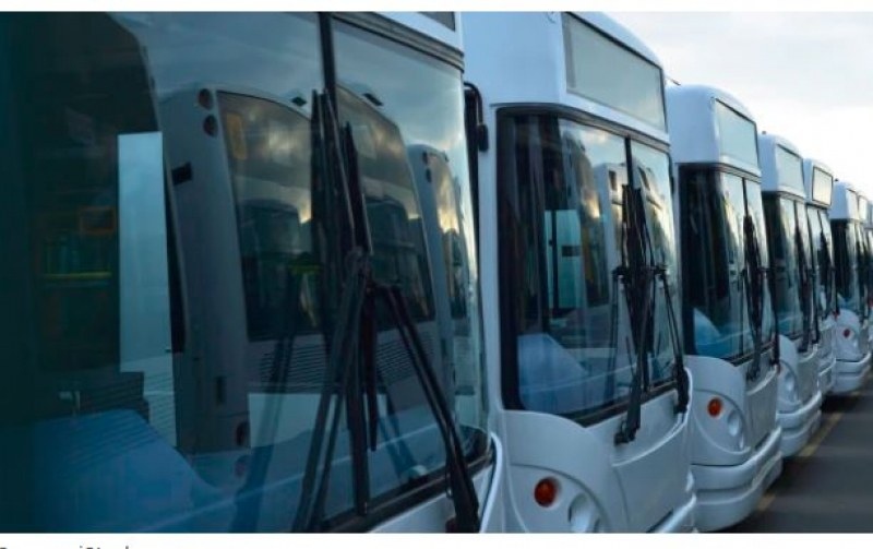 Около 50 процента са загубите на превозвачите от нелегални превози