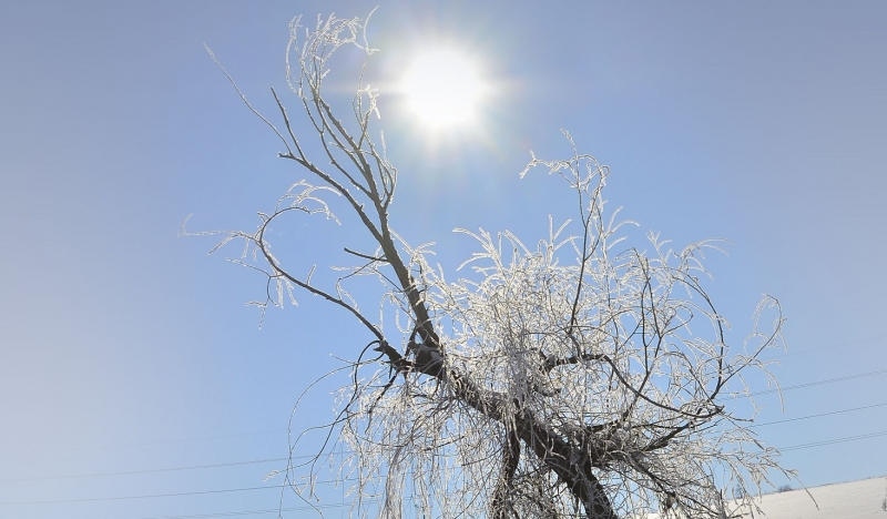 През нощта на места ще има превалявания предимно от сняг