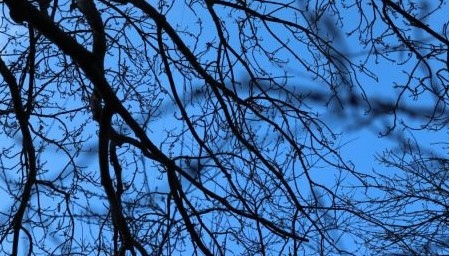 Днес облачността ще е променлива и в сутрешните часове на