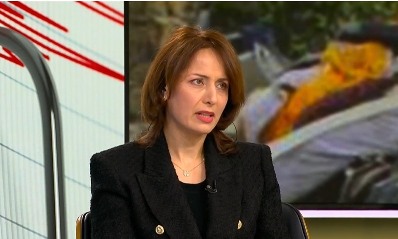 Българското правителство да помогне със самолети с които да се