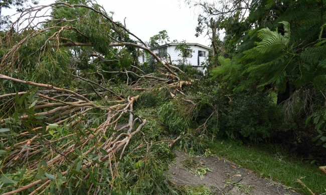 Хиляди новозеландски домакинства останаха без ток а много полети бяха