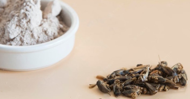 Италианската верига от заведения за бързо хранене Пане Трита Pane Trita пусна