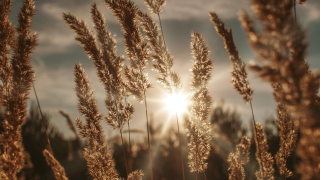 Днес вятърът ще се усили и ще бъде умерен в