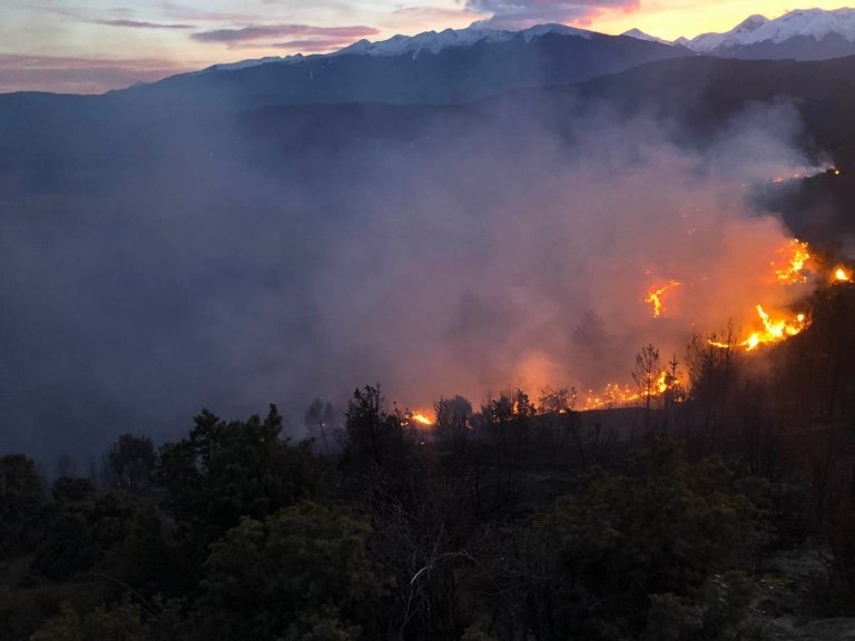 Близо 20 дка иглолистна гора гори в района на село