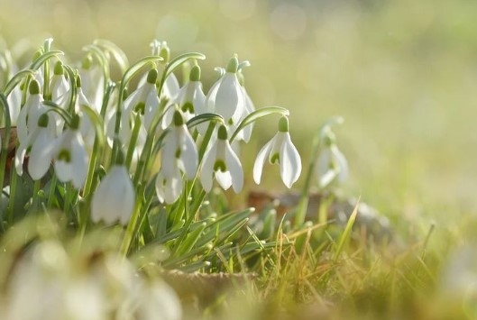 Днес ще бъде предимно слънчево Ще остане ветровито с умерен