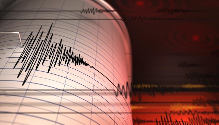 Земетресение с магнитуд 4,1 по Рихтер бе регистрирано в 8,25