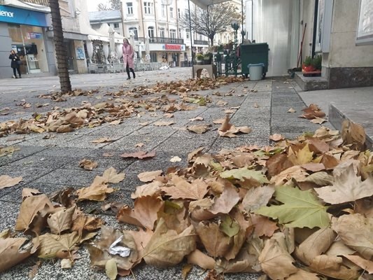 Минималните температури ще са между нула и 5° малко по