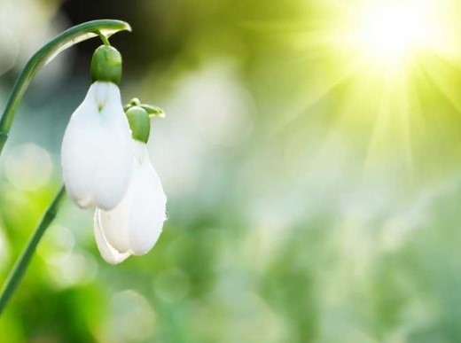 Тази година през март се очаква средната месечна температура да