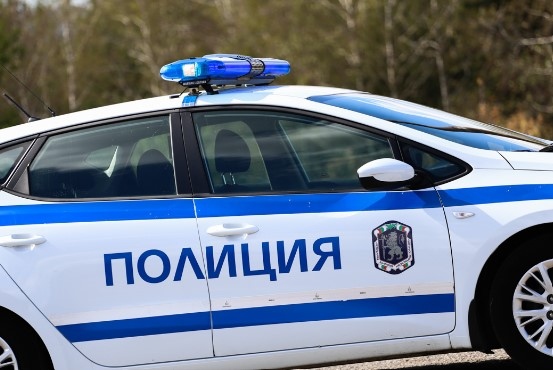 13 мигранти от Афганистан са задържани тази нощ на Прохода