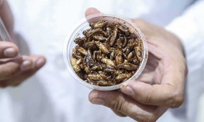 Германски салон за сладолед разшири менюто си изкушавайки клиентите си