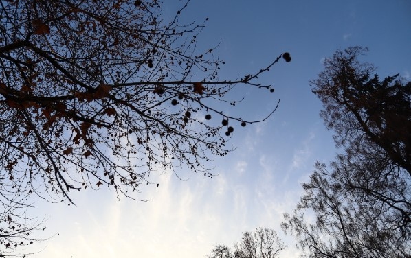 Днес ще има променлива над южните райони често значителна